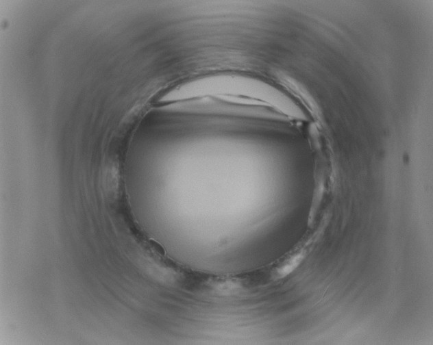 X0000073730113200608311855