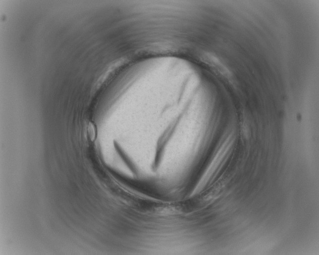 X0000073730115200608311855