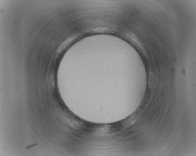 X0000073730116200608311855