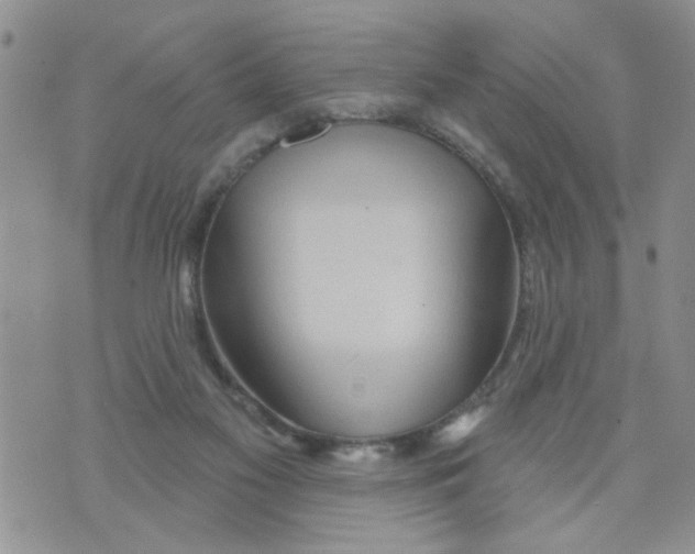 X0000073730117200608311855