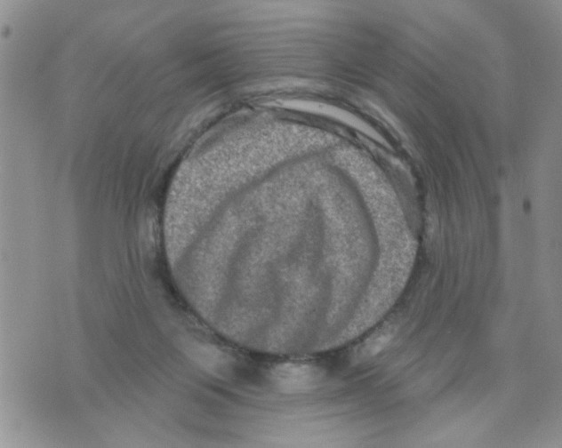 X0000073730119200608311855