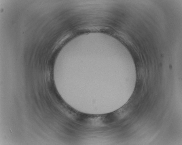 X0000073730120200608311855