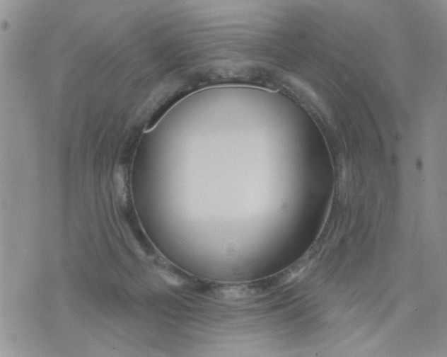 X0000073730121200608311854