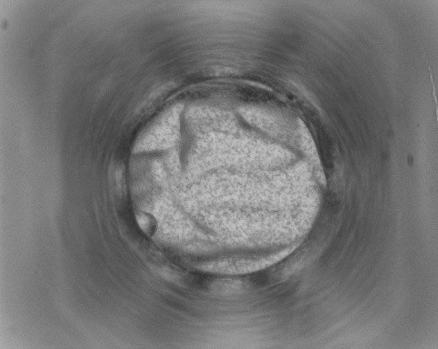 X0000073730123200608311854