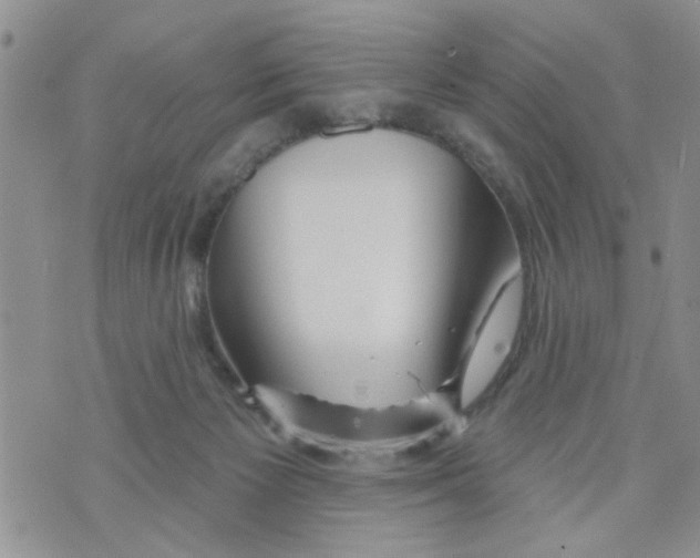 X0000073730125200608311854