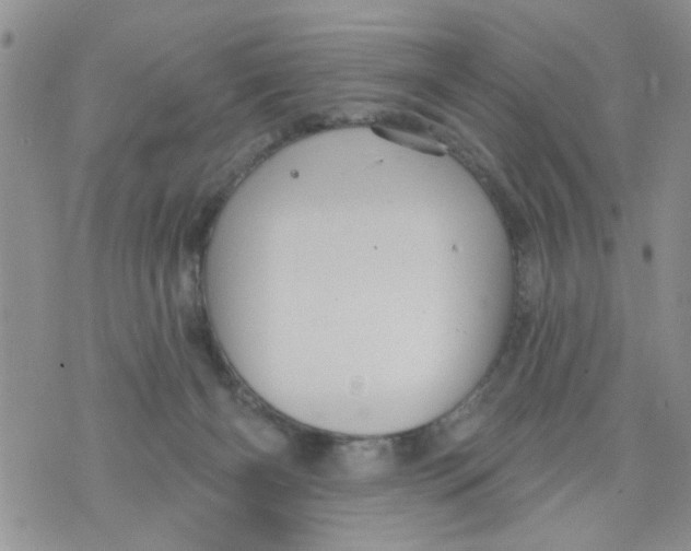 X0000073730126200608311854