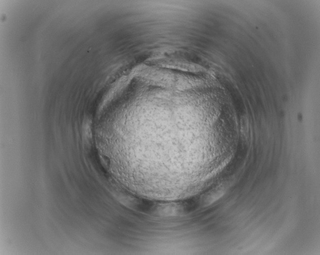 X0000073730127200608311854