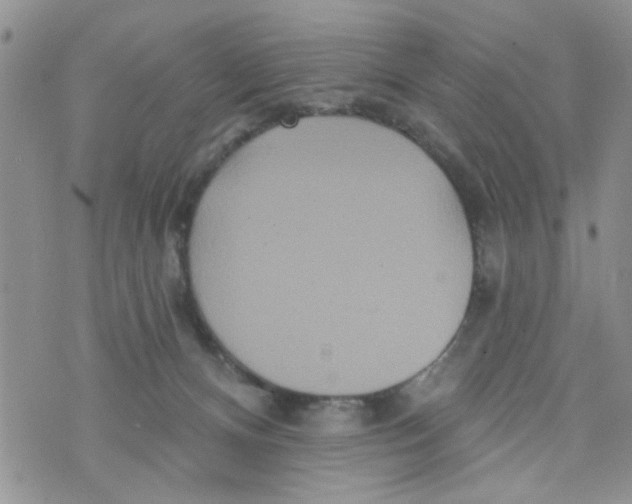 X0000073730128200608311854