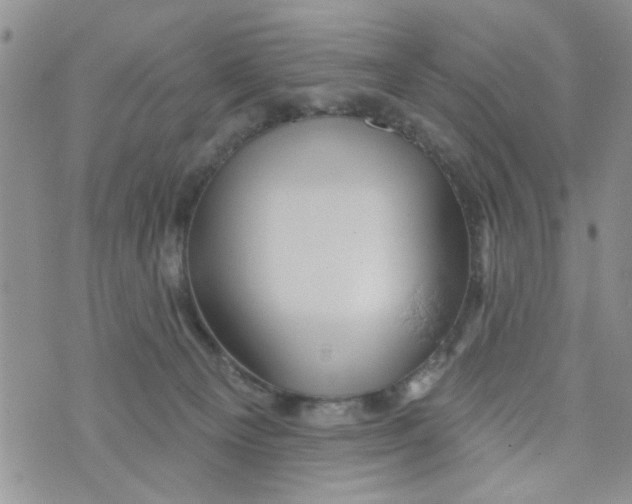 X0000073730129200608311854