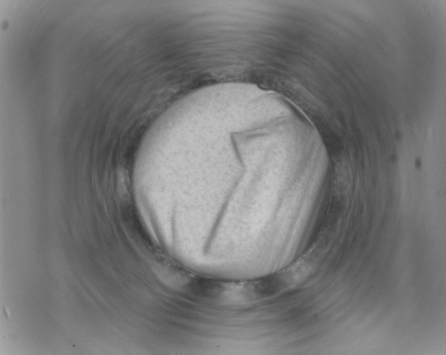 X0000073730130200608311854