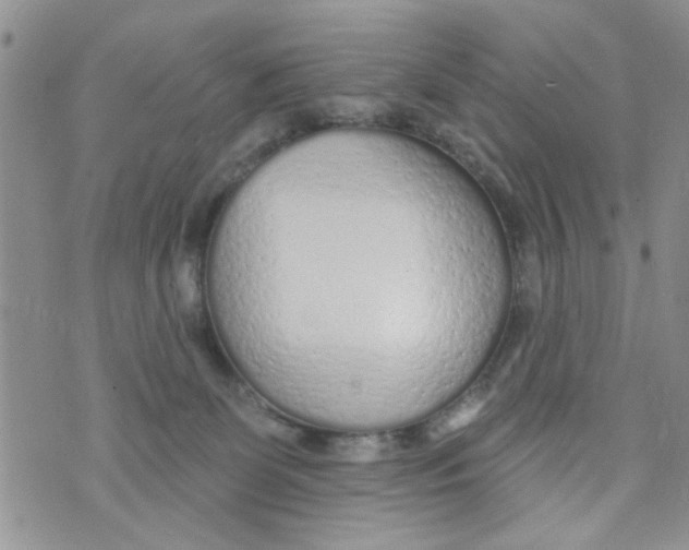 X0000073730131200608311854