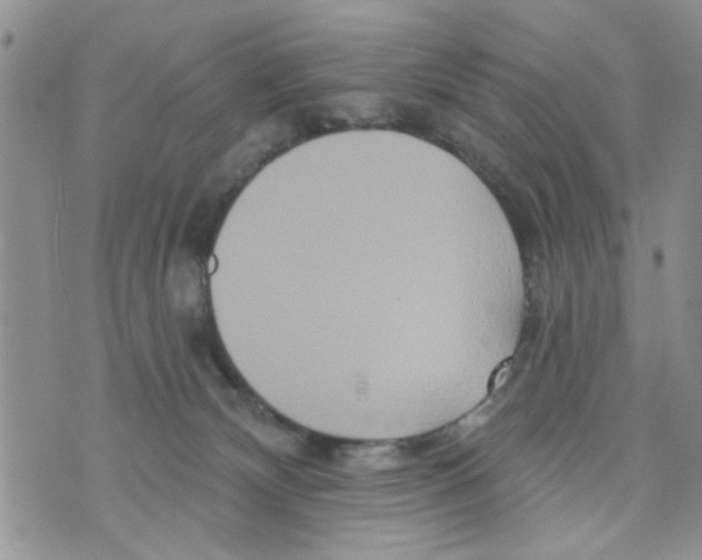 X0000073730132200608311854