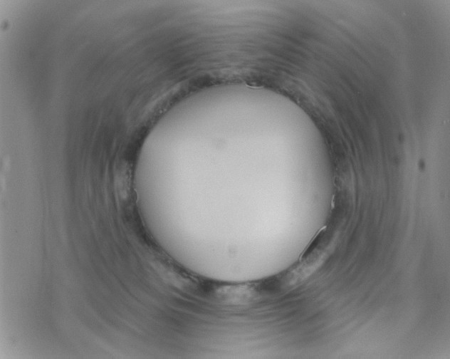 X0000073730133200608311854