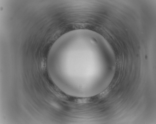 X0000073730134200608311854