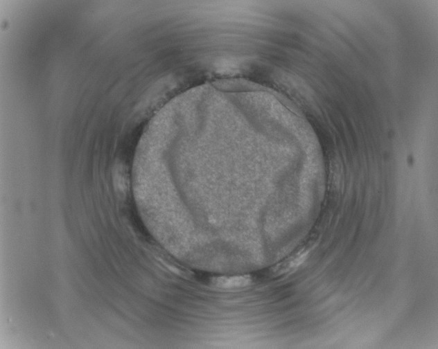 X0000073730135200608311854