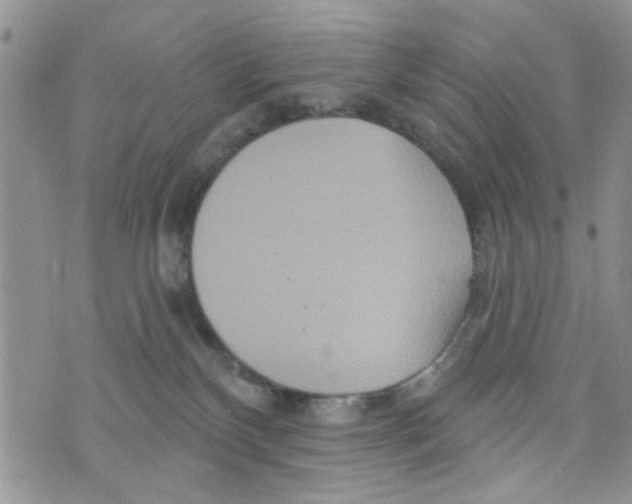 X0000073730136200608311854