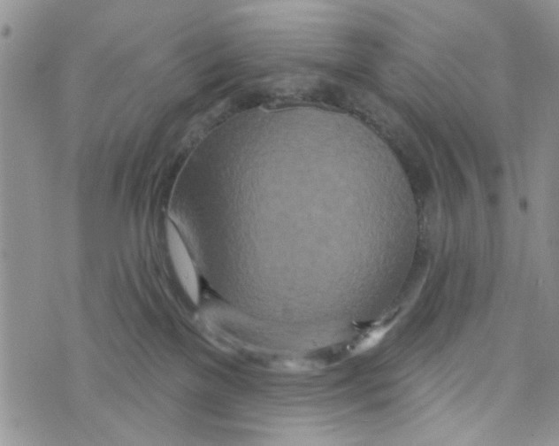 X0000073730137200608311854