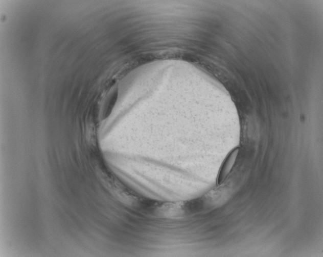 X0000073730138200608311854