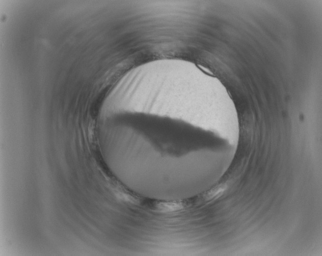 X0000073730139200608311854