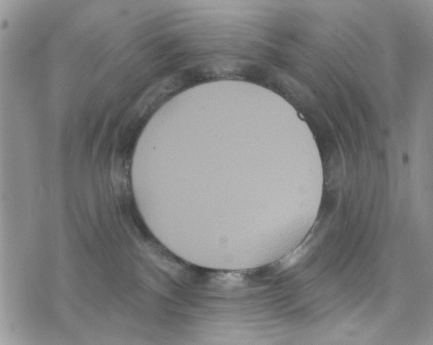 X0000073730140200608311854