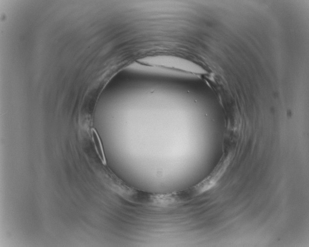 X0000073730141200608311854