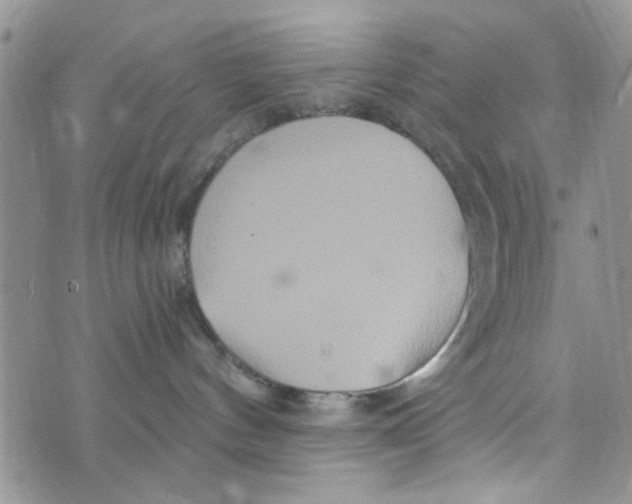 X0000073730144200608311854