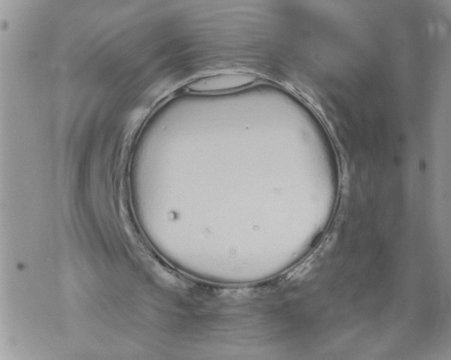 X0000073730145200608311853