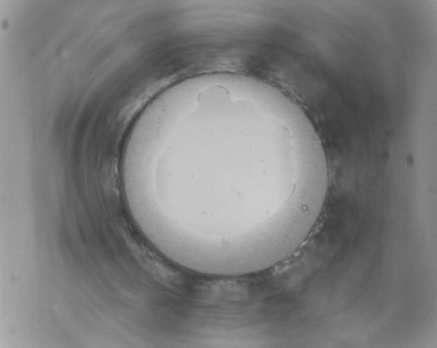 X0000073730146200608311853