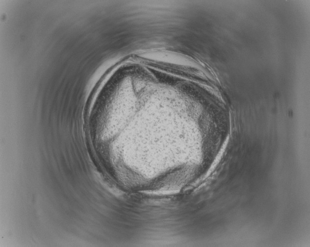 X0000073730147200608311853