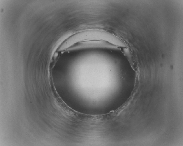 X0000073730148200608311853