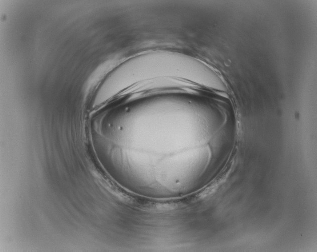 X0000073730149200608311853