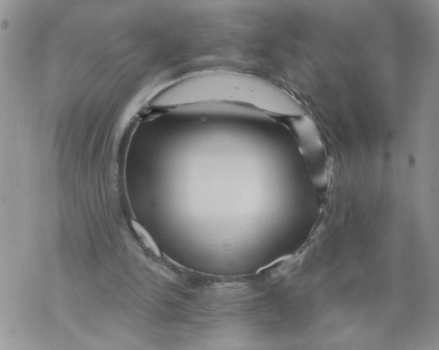 X0000073730150200608311853