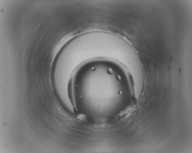 X0000073730152200608311853