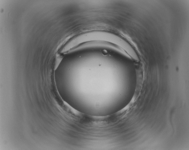 X0000073730154200608311853