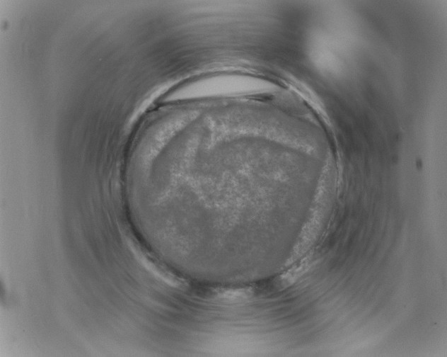 X0000073730155200608311854