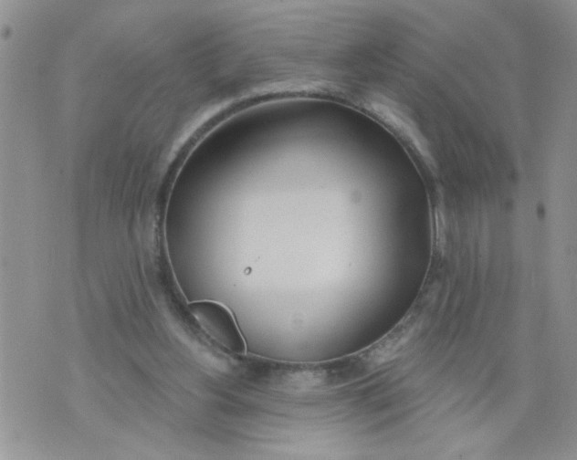 X0000073730156200608311854