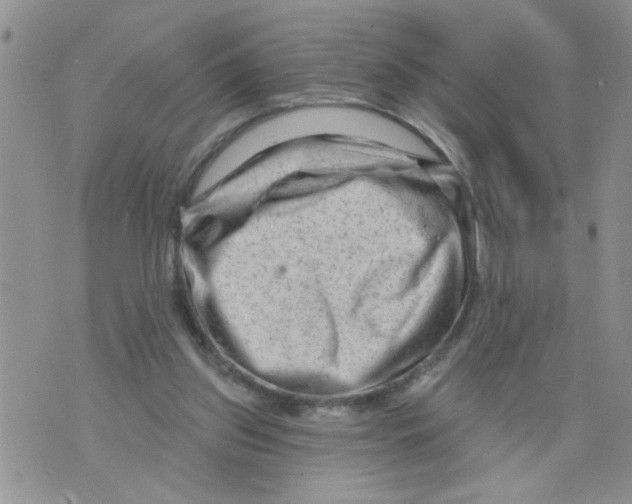 X0000073730157200608311854