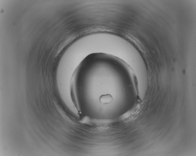 X0000073730158200608311854