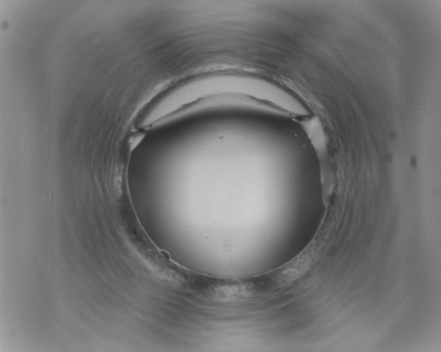 X0000073730160200608311854