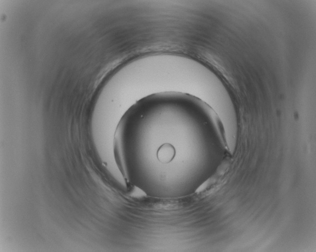 X0000073730164200608311854