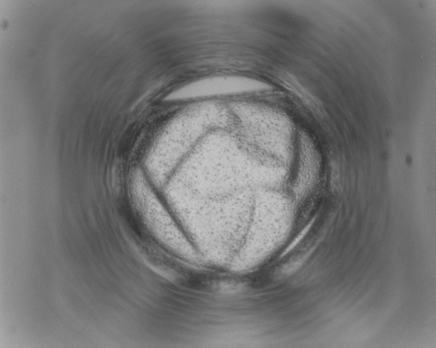 X0000073730165200608311854