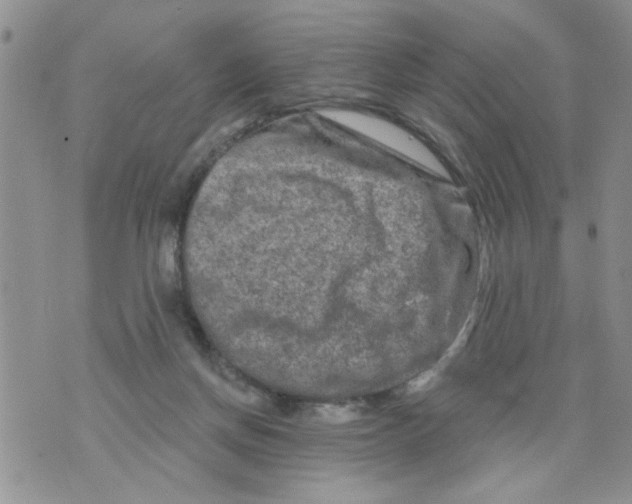 X0000073730166200608311854