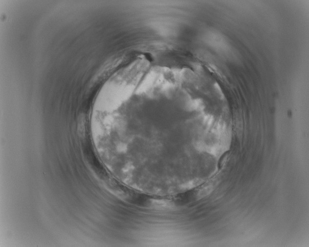 X0000073730167200608311854