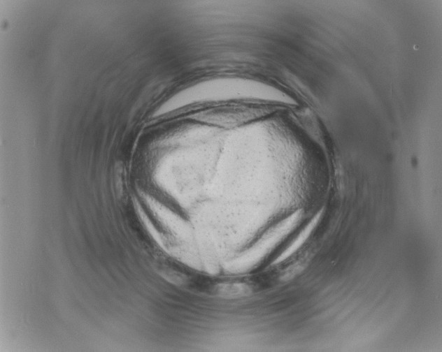 X0000073730169200608311854