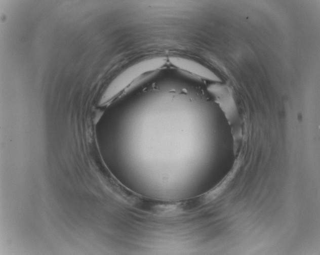 X0000073730170200608311854