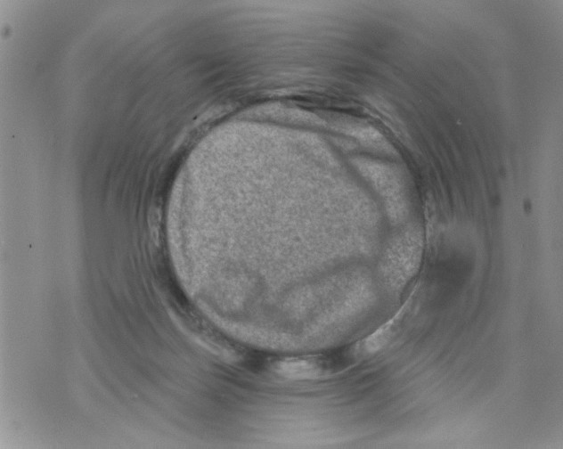 X0000073730171200608311854