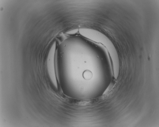 X0000073730172200608311854