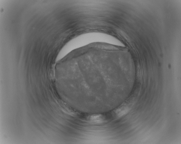 X0000073730173200608311854