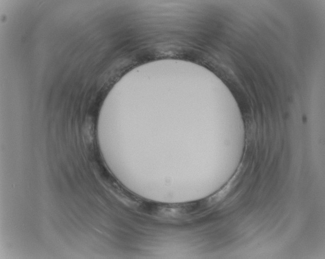 X0000073730174200608311854