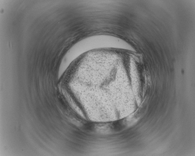 X0000073730175200608311854